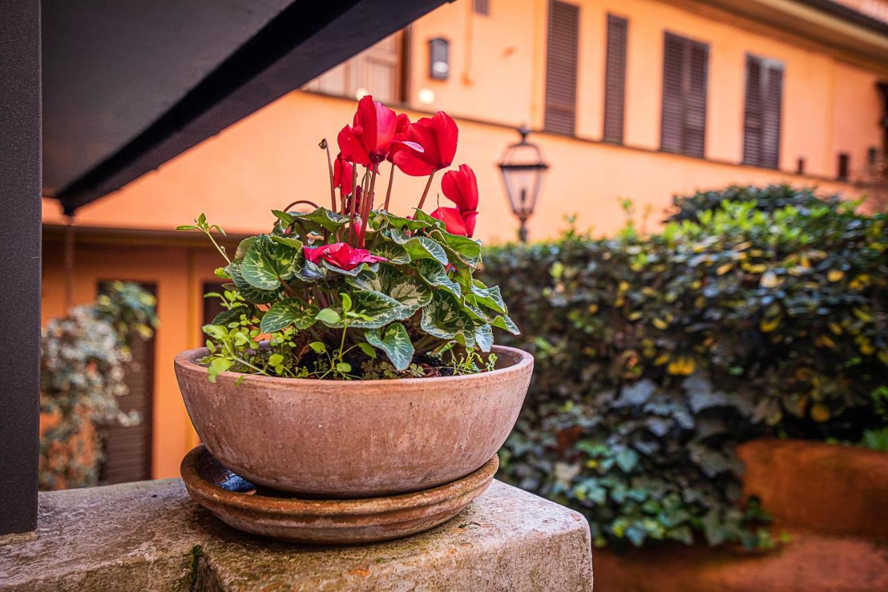 Cosy Studio In The Greenest Corner Of Trastevere Rom Exteriör bild
